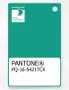 Product image 1 of the product “PANTONE® PLASTIC STANDARD CHIP PQ 16-5421 TCX Sea Green ”