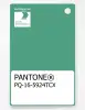 Artikelbild 1 des Artikels “PANTONE® PLASTIC STANDARD CHIP PQ 16-5924 TCX Winter Green “