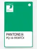Product image 1 of the product “PANTONE® PLASTIC STANDARD CHIP PQ 16-5938 TCX Mint ”