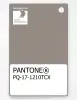 Product image 1 of the product “PANTONE® PLASTIC STANDARD CHIP PQ 17-1210 TCX Moon Rock ”