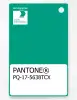 Product image 1 of the product “PANTONE® PLASTIC STANDARD CHIP PQ 17-5638 TCX Vivid Green ”