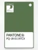 Product image 1 of the product “PANTONE® PLASTIC STANDARD CHIP PQ 18-0119 TCX Willow Bough ”