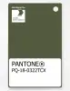Artikelbild 1 des Artikels “PANTONE® PLASTIC STANDARD CHIP PQ 18-0322 TCX Cypress “