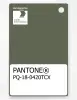 Product image 1 of the product “PANTONE® PLASTIC STANDARD CHIP PQ 18-0420 TCX Four Leaf Clover ”