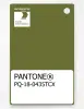 Product image 1 of the product “PANTONE® PLASTIC STANDARD CHIP PQ 18-0435 TCX Calla Green ”