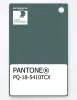 Product image 1 of the product “PANTONE® PLASTIC STANDARD CHIP PQ 18-5410 TCX Silver Pine ”