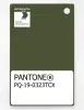 Artikelbild 1 des Artikels “PANTONE® PLASTIC STANDARD CHIP PQ 19-0323 TCX Chive “