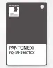 Product image 1 of the product “PANTONE® PLASTIC STANDARD CHIP PQ 19-3900 TCX Pavement ”