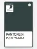 Product image 1 of the product “PANTONE® PLASTIC STANDARD CHIP PQ 19-4906 TCX Green Gables ”