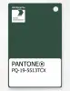 Product image 1 of the product “PANTONE® PLASTIC STANDARD CHIP PQ 19-5513 TCX Dark Green ”