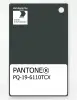 Product image 1 of the product “PANTONE® PLASTIC STANDARD CHIP PQ 19-6110 TCX Deep Forest ”