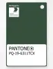 Product image 1 of the product “PANTONE® PLASTIC STANDARD CHIP PQ 19-6311 TCX Greener Pastures ”