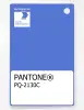Product image 1 of the product “PANTONE® PLASTIC STANDARD CHIP PQ 2130C ”