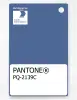 Product image 1 of the product “PANTONE® PLASTIC STANDARD CHIP PQ 2139C ”