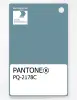 Artikelbild 1 des Artikels “PANTONE® PLASTIC STANDARD CHIP PQ 2178C “