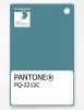 Product image 1 of the product “PANTONE® PLASTIC STANDARD CHIP PQ 2212C ”