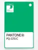 Product image 1 of the product “PANTONE® PLASTIC STANDARD CHIP PQ 2251C ”