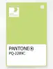 Product image 1 of the product “PANTONE® PLASTIC STANDARD CHIP PQ 2289C ”