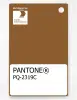 Product image 1 of the product “PANTONE® PLASTIC STANDARD CHIP PQ 2319C ”