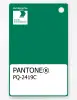 Product image 1 of the product “PANTONE® PLASTIC STANDARD CHIP PQ 2419C ”