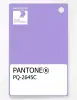 Product image 1 of the product “PANTONE® PLASTIC STANDARD CHIP PQ 2645C ”