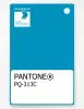 Product image 1 of the product “PANTONE® PLASTIC STANDARD CHIP PQ 313C ”