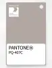Product image 1 of the product “PANTONE® PLASTIC STANDARD CHIP PQ 407C ”