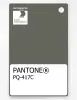 Product image 1 of the product “PANTONE® PLASTIC STANDARD CHIP PQ 417C ”