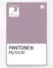 Product image 1 of the product “PANTONE® PLASTIC STANDARD CHIP PQ 5215C ”