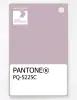 Product image 1 of the product “PANTONE® PLASTIC STANDARD CHIP PQ 5225C ”