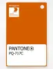 Product image 1 of the product “PANTONE® PLASTIC STANDARD CHIP PQ 717C ”