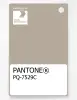 Product image 1 of the product “PANTONE® PLASTIC STANDARD CHIP PQ 7529C ”