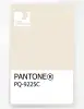 Product image 1 of the product “PANTONE® PLASTIC STANDARD CHIP PQ 9225C ”
