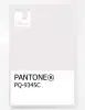 Product image 1 of the product “PANTONE® PLASTIC STANDARD CHIP PQ 9345C ”