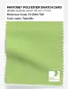 Product image 1 of the product “PANTONE® POLYESTER SWATCH CARD 13-0240 TSX Tomatillo ”