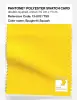 Artikelbild 1 des Artikels “PANTONE® POLYESTER SWATCH CARD 13-0761 TSX Spaghetti Squash “