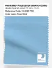 Product image 1 of the product “PANTONE® POLYESTER SWATCH CARD 13-4320 TSX Polar Wind ”