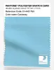Product image 1 of the product “PANTONE® POLYESTER SWATCH CARD 13-4421 TSX Castaway ”