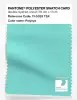 Artikelbild 1 des Artikels “PANTONE® POLYESTER SWATCH CARD 13-5329 TSX Polynya “