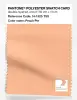 Artikelbild 1 des Artikels “PANTONE® POLYESTER SWATCH CARD 14-1325 TSX Peach Pie “