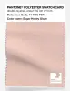 Artikelbild 1 des Artikels “PANTONE® POLYESTER SWATCH CARD 14-1519 TSX Sugar Honey Glaze “