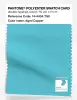 Artikelbild 1 des Artikels “PANTONE® POLYESTER SWATCH CARD 14-4434 TSX Aged Copper “