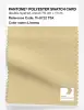 Product image 1 of the product “PANTONE® POLYESTER SWATCH CARD 15-0722 TSX Lioness ”