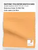 Product image 1 of the product “PANTONE® POLYESTER SWATCH CARD 15-1363 TSX Live Wire ”