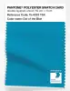 Product image 1 of the product “PANTONE® POLYESTER SWATCH CARD 15-4333 TSX Out of the Blue ”