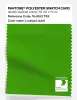 Artikelbild 1 des Artikels “PANTONE® POLYESTER SWATCH CARD 16-0163 TSX Lounge Lizard “