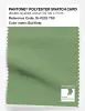 Artikelbild 1 des Artikels “PANTONE® POLYESTER SWATCH CARD 16-0223 TSX Bull Kelp “