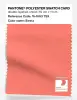 Product image 1 of the product “PANTONE® POLYESTER SWATCH CARD 16-1663 TSX Siesta ”