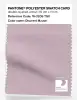 Artikelbild 1 des Artikels “PANTONE® POLYESTER SWATCH CARD 16-3209 TSX Discreet Mauve “