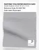 Artikelbild 1 des Artikels “PANTONE® POLYESTER SWATCH CARD 16-4403 TSX Skyscraper “